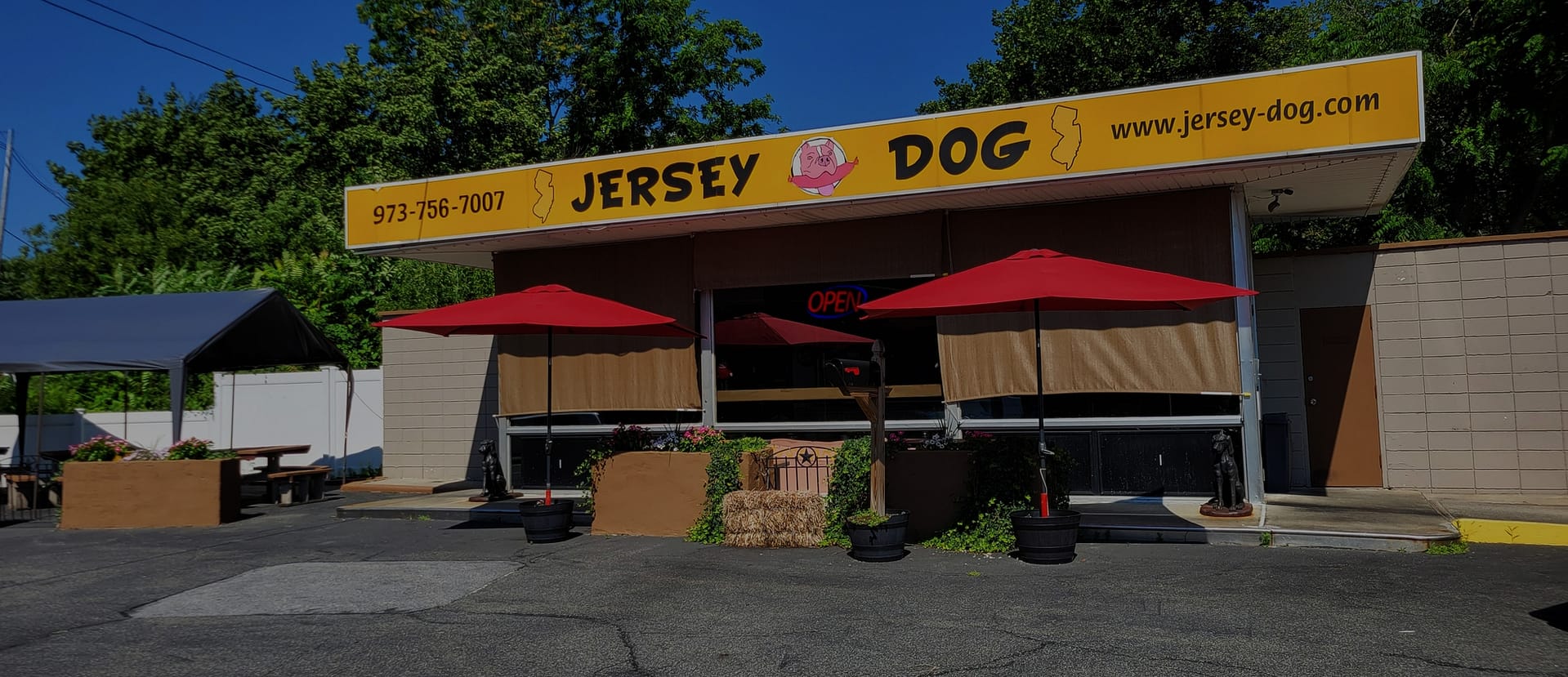 Jersey Dog Deep Fried Hot Dogs and More!